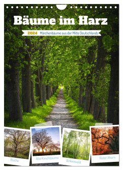 Bäume im Harz (Wandkalender 2024 DIN A4 hoch), CALVENDO Monatskalender - Gierok-Latniak, Steffen