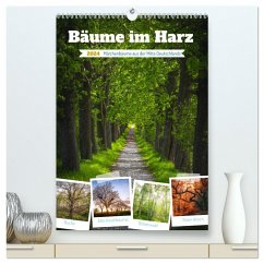 Bäume im Harz (hochwertiger Premium Wandkalender 2024 DIN A2 hoch), Kunstdruck in Hochglanz
