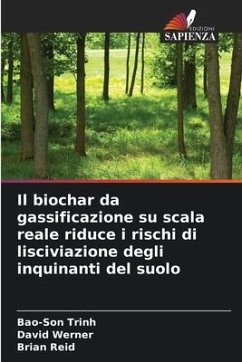 Il biochar da gassificazione su scala reale riduce i rischi di lisciviazione degli inquinanti del suolo - Trinh, Bao-Son;Werner, David;Reid, Brian