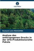 Analyse des anthropogenen Drucks in der UFA-Produktionsreihe Pokola