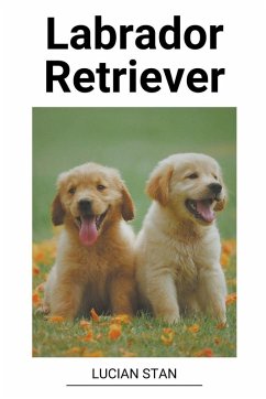 Cover Labrador Retriever