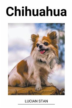 Chihuahua - Stan, Lucian