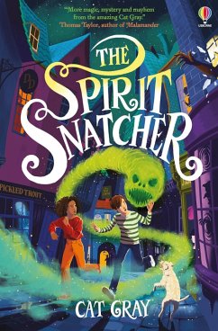 The Spirit Snatcher - Gray, Cat