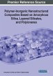 Polymer-Inorganic Nanostructured... - Bild 1