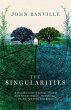 The Singularities (eBook, ePUB) - Bild 1