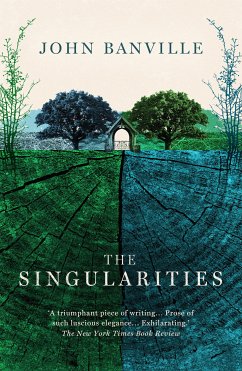 The Singularities (eBook, ePUB) - Banville, John