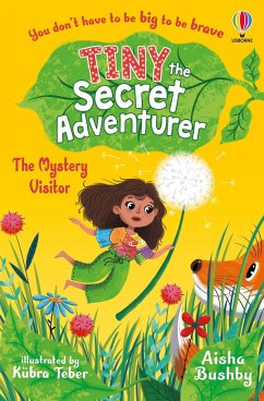 Tiny the Secret Adventurer: The Mystery Visitor - Bushby, Aisha