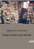 Como se hace una novela