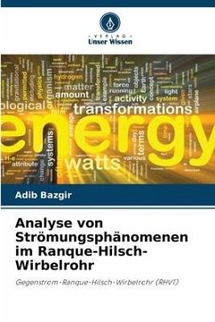 Analyse von Strömungsphänomenen im Ranque-Hilsch-Wirbelrohr - Bazgir, Adib