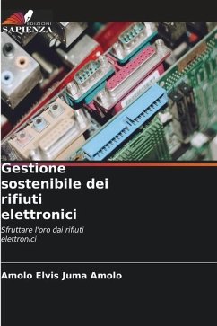 Gestione sostenibile dei rifiuti elettronici - Elvis Juma Amolo, Amolo