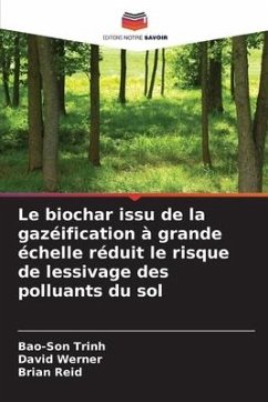 Le biochar issu de la gazéification à grande échelle réduit le risque de lessivage des polluants du sol - Trinh, Bao-Son;Werner, David;Reid, Brian