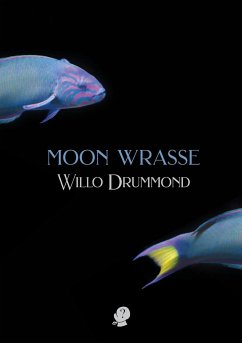 Moon Wrasse - Drummond, Willo