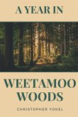 A Year in Weetamoo Woods
