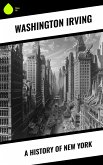 A History of New York (eBook, ePUB)