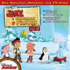 12: Winter auf Nimmerland / Hook auf dem Eis / Ei-Ei-Eiskaltes Nimmerland / Jakes Pinguin-Freund (Disney TV-Serie) (MP3-Download)