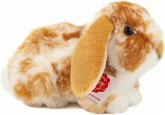 Teddy Hermann 93730 - Widderkaninchen hellbraun-weiß gescheckt, Hase-Plüschtier, 23 cm Teddy Hermann 93730 - Widderkaninchen hellbraun-weiß gescheckt, Hase-Plüschtier, 23 cm