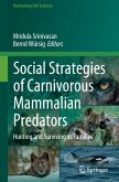 Social Strategies of Carnivorous Mammalian Predators