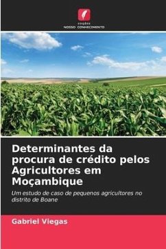 Determinantes da procura de crédito pelos Agricultores em Moçambique - Viegas, Gabriel
