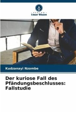 Der kuriose Fall des Pfändungsbeschlusses: Fallstudie - Nzombe, Kudzanayi