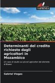 Determinanti del credito richiesto dagli agricoltori in Mozambico
