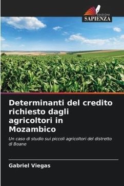 Determinanti del credito richiesto dagli agricoltori in Mozambico - Viegas, Gabriel