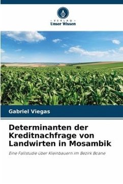 Determinanten der Kreditnachfrage von Landwirten in Mosambik - Viegas, Gabriel