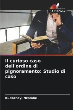 Il curioso caso dell'ordine di pignoramento: Studio di caso - Nzombe, Kudzanayi