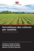 Surveillance des cultures par satellite