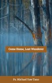 Come Home, Lost Wanderer (eBook, ePUB)