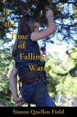 In the Time of Falling Water (eBook, ePUB)