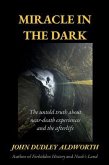 Miracle in the Dark (eBook, ePUB)