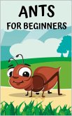 Ants for beginners (eBook, ePUB)