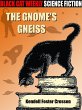 The Gnome's Gneiss (eBook, ePUB) - Bild 1