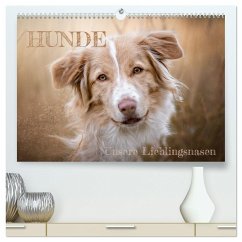 Hunde - Unsere Lieblingsnasen (hochwertiger Premium Wandkalender 2024 DIN A2 quer), Kunstdruck in Hochglanz