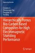 Hierarchically Porous Bio-Carbon Based... - Bild 1