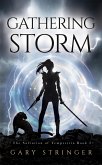 Gathering Storm (The Salvation of Tempestria, #2) (eBook, ePUB)