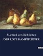 DER ROTE KAMPFFLIEGER - Bild 1
