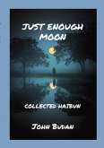 Just Enough Moon