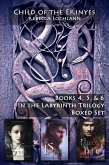 In the Labyrinth Trilogy, Books 4-6 (The Child of the Erinyes) (eBook, ePUB)