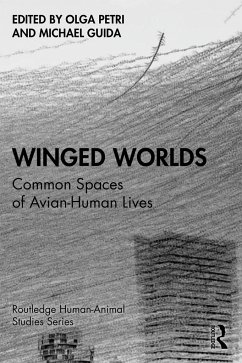 Winged Worlds