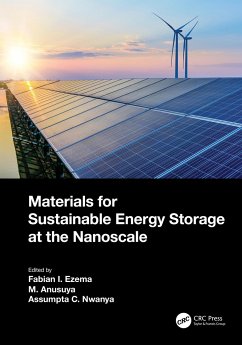 Materials for Sustainable Energy Storage at the Nanoscale