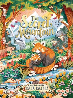 Cover The Secret Mountain