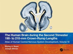 Cover The Human Brain During the Second Trimester 190- To 210-MM Crown-Rump Lengths