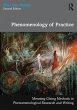 Phenomenology of Practice - Bild 1
