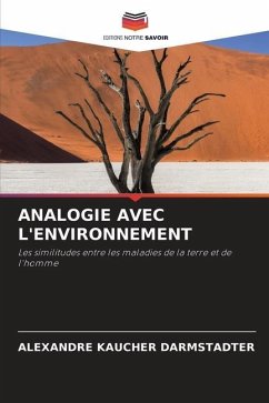 ANALOGIE AVEC L'ENVIRONNEMENT - Darmstadter, Alexandre Kaucher