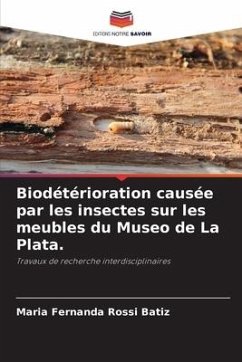 Biodétérioration causée par les insectes sur les meubles du Museo de La Plata. - Rossi Batiz, Maria Fernanda
