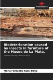 Biodeterioration caused by insects in furniture of the Museo de La Plata.
