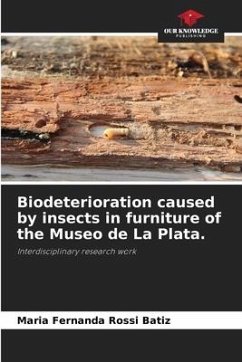 Biodeterioration caused by insects in furniture of the Museo de La Plata. - Rossi Batiz, Maria Fernanda