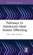 Pathways to Adolescent Male Violent... - Bild 1
