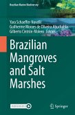 Brazilian Mangroves and Salt Marshes (eBook, PDF)